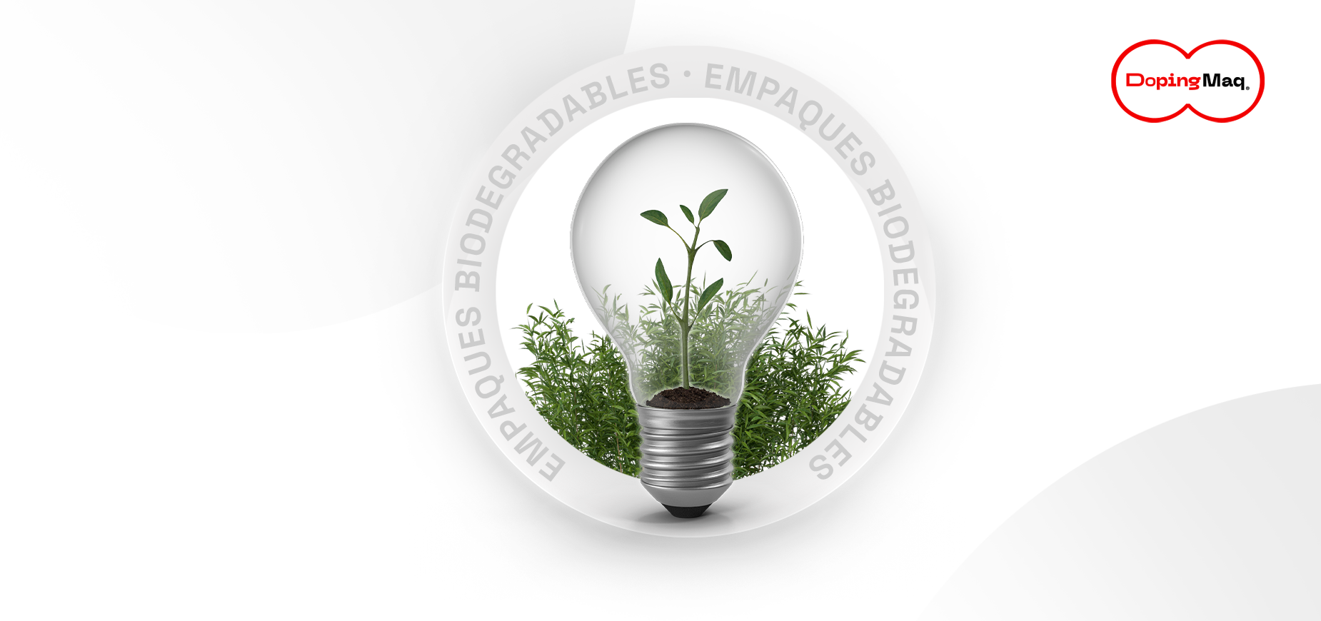 Lee más sobre el artículo Ventajas de contar con empaques biodegradables